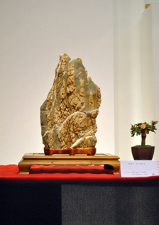 suiseki daizaban a bonsai es suiseki kiallitason a marczika bonsai studio rendezeseben